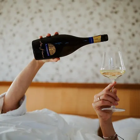 Gailtaler Hof 酒店 Kotschach-Mauthen