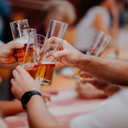 酒店 Gailtaler Hof