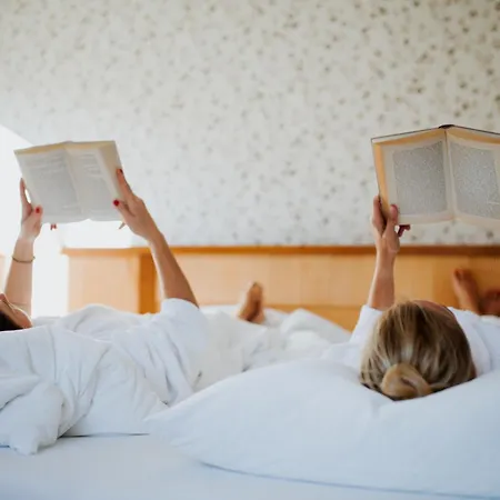 酒店 Gailtaler Hof 3*