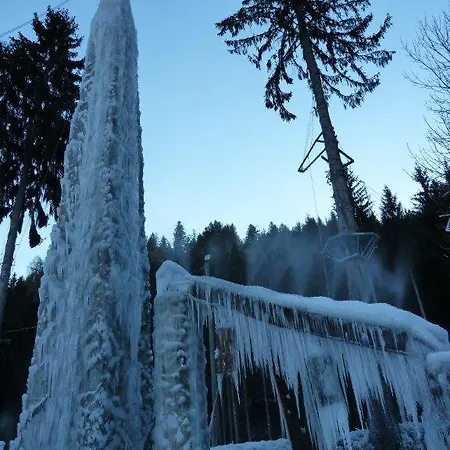 Gailtaler Hof فندق 3*