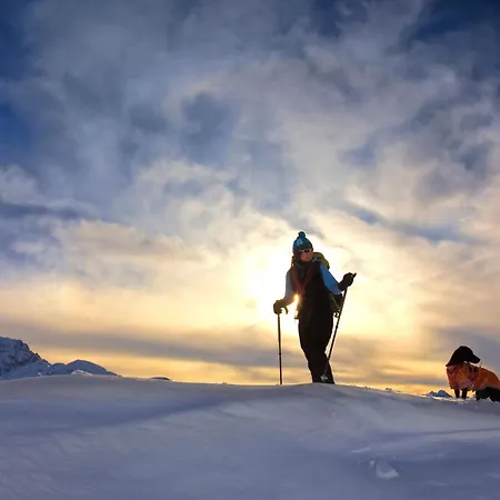 Gailtaler Hof 酒店 Kotschach-Mauthen