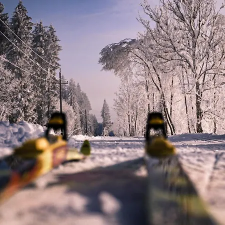 Gailtaler Hof 3* Kotschach-Mauthen