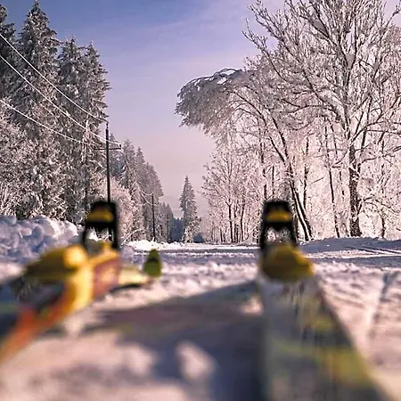 Gailtaler Hof فندق 3*