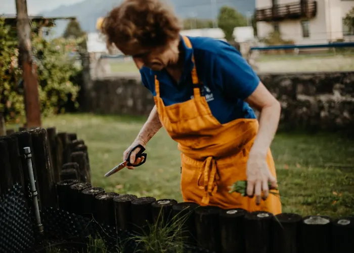 Hotel Gailtaler Hof 3*