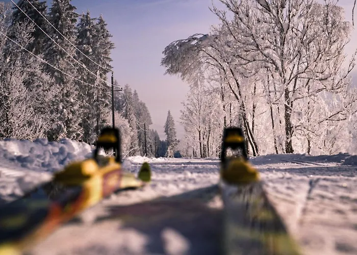 Gailtaler Hof 3* Kotschach-Mauthen